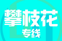深圳到攀枝花物流专线_深圳至攀枝花物流公司